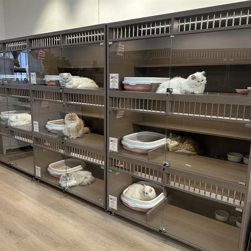 宠物猫店繁育柜猫笼猫柜猫别墅实木猫柜猫舍寄养柜猫展示柜