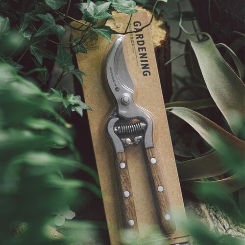 水曲柳木柄修枝剪花艺园林果树修剪树枝修花剪刀省力家用园艺工具
