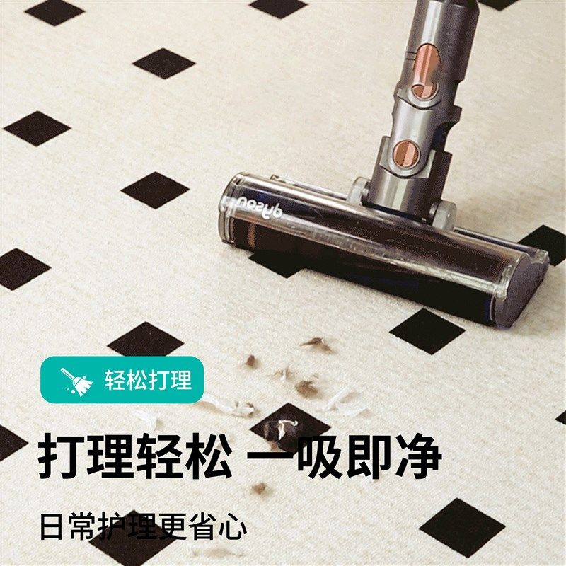 地毯客厅2025新款轻奢高级感免打理房间卧室床边防水地垫隔音加厚