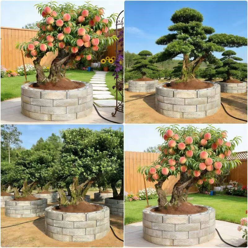 树木用控根器模具盆景绿植花木圆形挡土板水泥块围墙地砖拼接模型图片