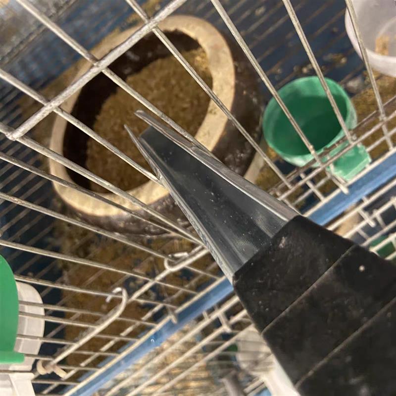 加厚新款快速加料鸟食鹦鹉鸽子投喂器加料漏斗工具加长喂食器图片