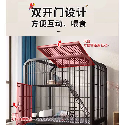 鸽子笼家用特大号养殖专用笼双层繁殖配对笼斑鸠新型鸽舍专用鸽笼