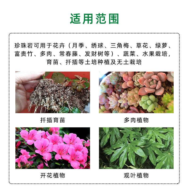 出口级园艺珍珠岩4-8mm大颗粒养花盆栽疏松改善土壤植料介质50L