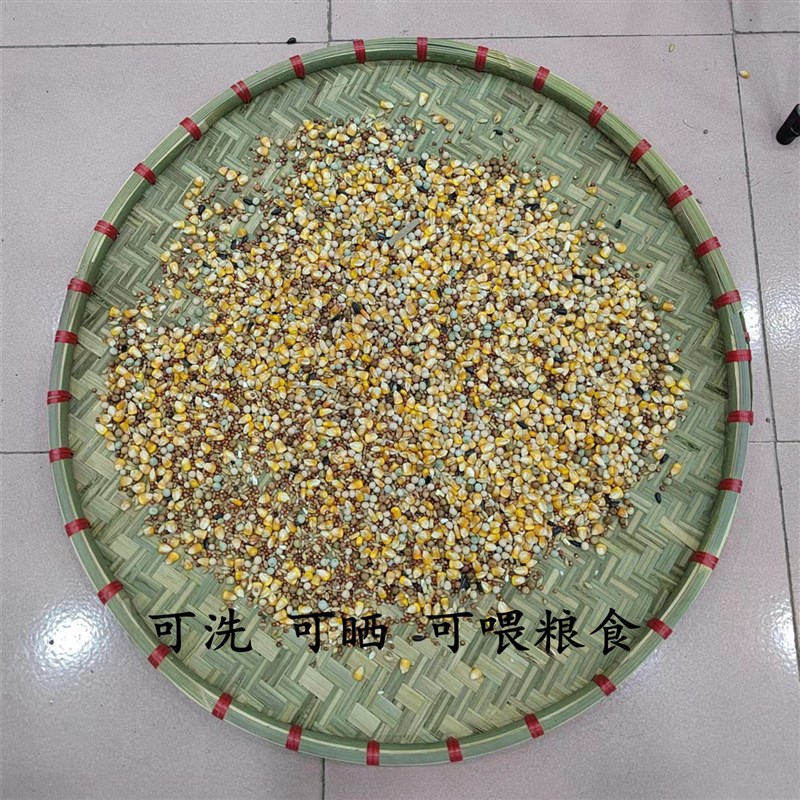 鸽舍竹编喂食盘手工竹编簸箕鸽子用品竹子食盘喂食器赛鸽信鸽食槽