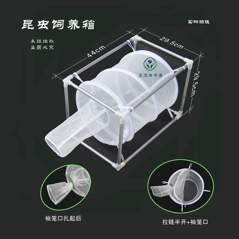 昆虫养虫笼 苍蝇 蚊子饲养 昆虫饲养箱 昆虫饲养笼 鸣虫 爬虫用具