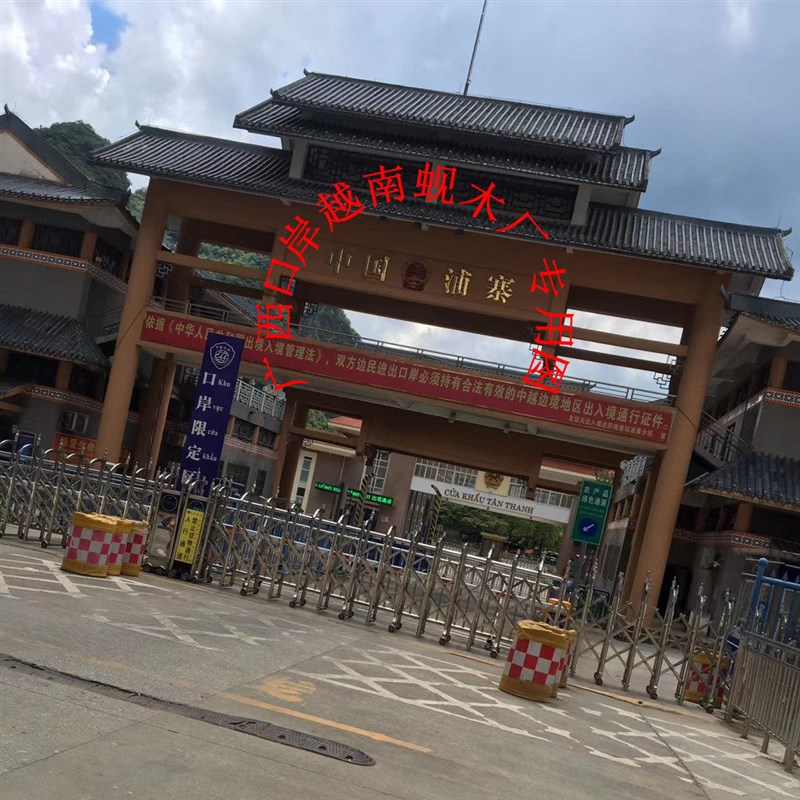 正宗越南铁木砚木砧板实木加厚圆形菜板广西龙州枧木蚬木实木抗菌