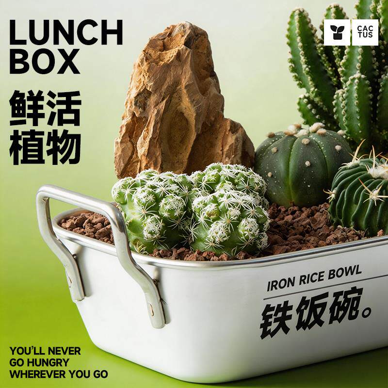 铁饭碗多肉仙人掌植物组合盆栽创意男生生日礼物办公室桌面绿植