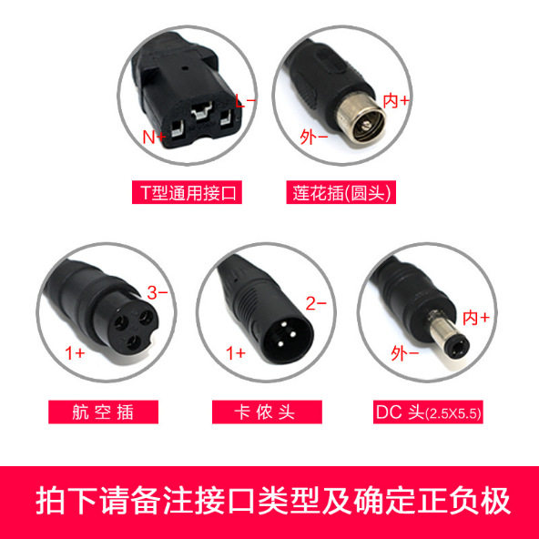 绿维锂电池电动车 电瓶锂电池充电器12v24v36v48v伏72v2a3a安通用