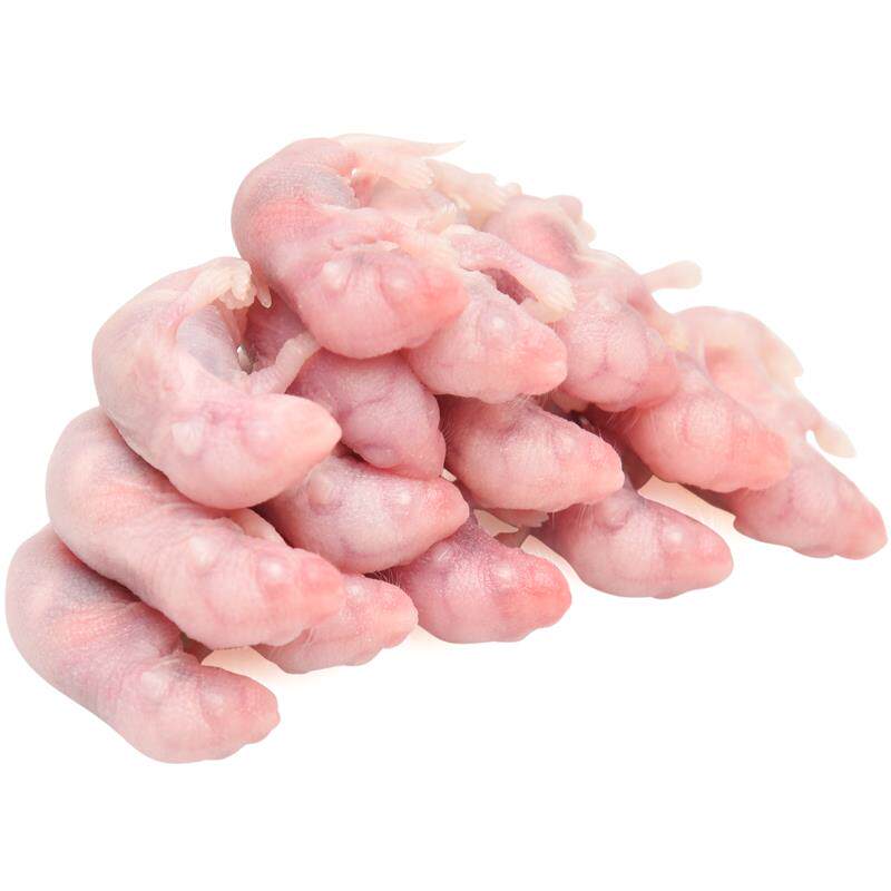 无菌活乳鼠小白鼠活幼鼠喂猫红粉皮鬃狮角蛙鳄龟饲料老鼠蜥蜴食物