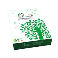 柏之美复印纸打印纸A4纸70G80G整箱5包2500张草稿纸广东省包邮