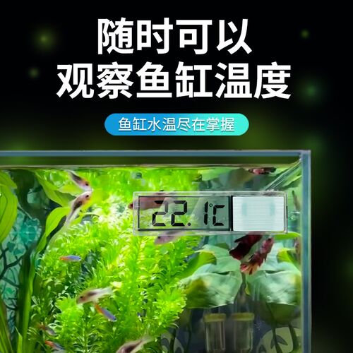 水族鱼缸温度计观赏鱼温度表高精度贴片水温计热带鱼龟缸草缸测温