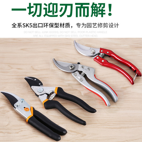 进口SK5剪刀 树枝剪果树修枝剪花剪园林绿化工具粗枝尖子园艺剪刀