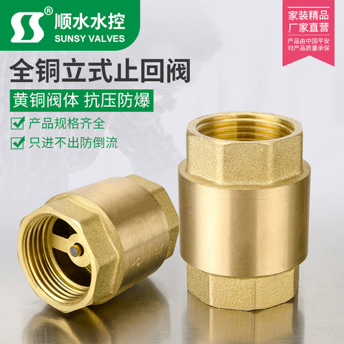 4分6分1寸全黄铜立式止回阀 水管水表止逆阀弹簧单向阀dn15 20 25
