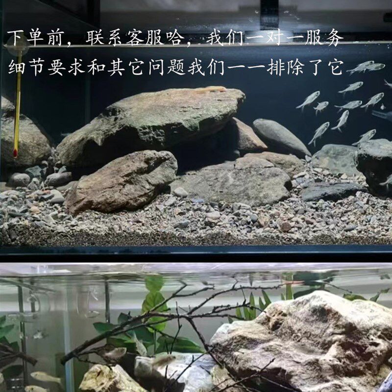 定制溪流缸造景原生缸造景一整套原生态鱼缸造景三湖慈鲷缸各类缸