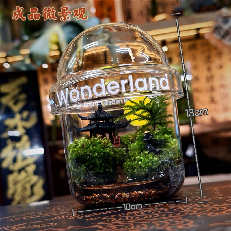 蛋仔成品微景观玻璃瓶生态瓶苔藓瓶办公室桌面摆件绿植创意礼物