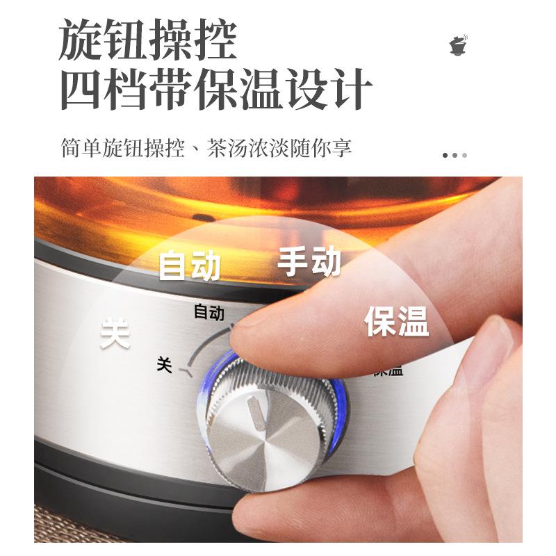 110V煮茶器出口跨境全自动家用蒸汽喷淋煮茶壶玻璃电茶壶咖啡壶
