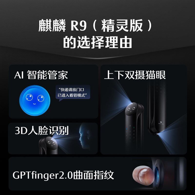 德施曼密码锁指纹锁家用防盗3D人脸识别智能锁感应锁麒麟R9精灵版