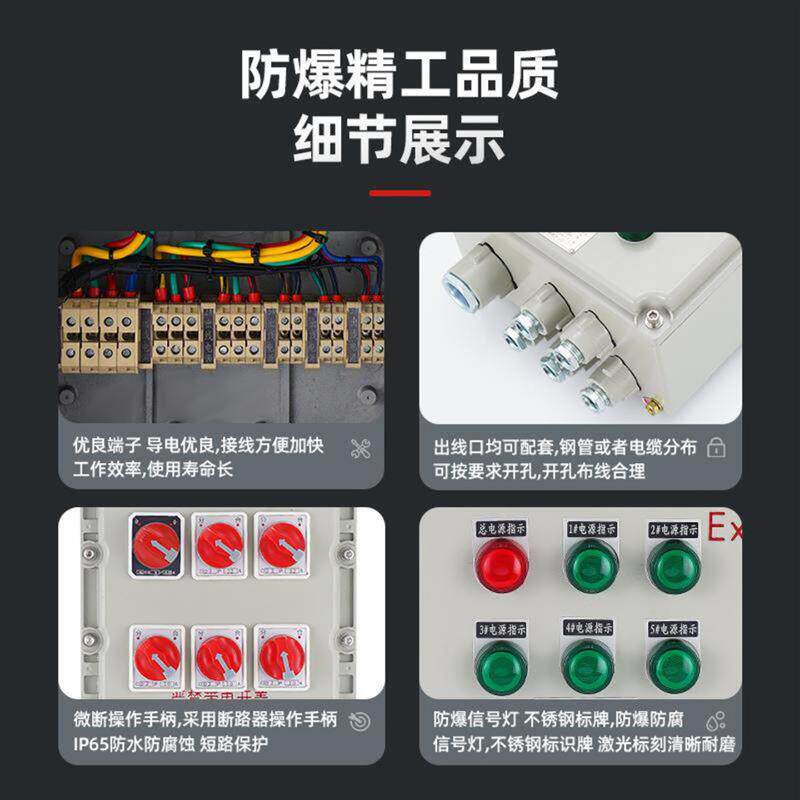 防爆配电箱IIB控制检修箱照明动力柜IIC操作柱回路箱电仪表箱成套