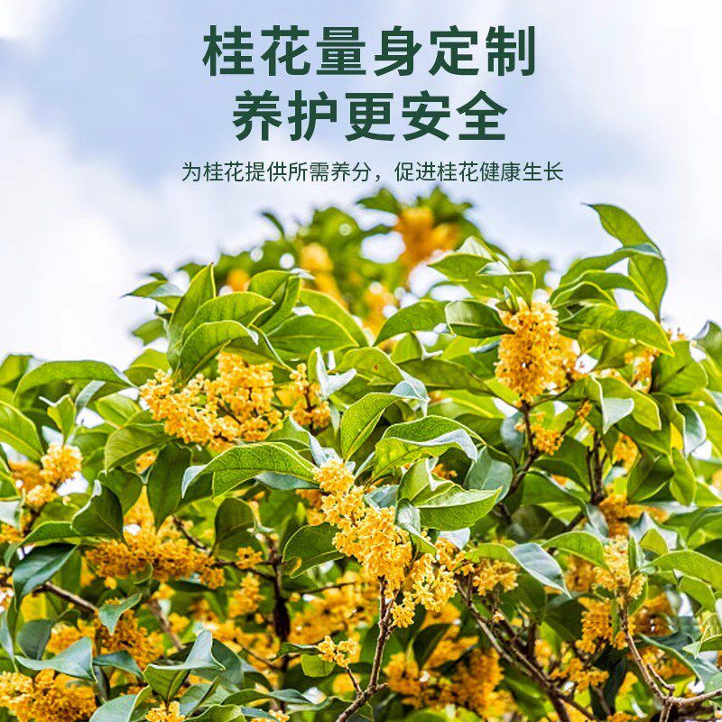 桂花树专用肥料花养花改善黄叶有机肥绿植盆栽四季通用型复合肥促