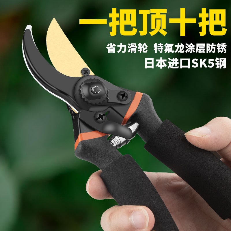 进口多用剪树枝专用剪刀园林果树粗枝园艺修枝剪修花省力SK5剪子