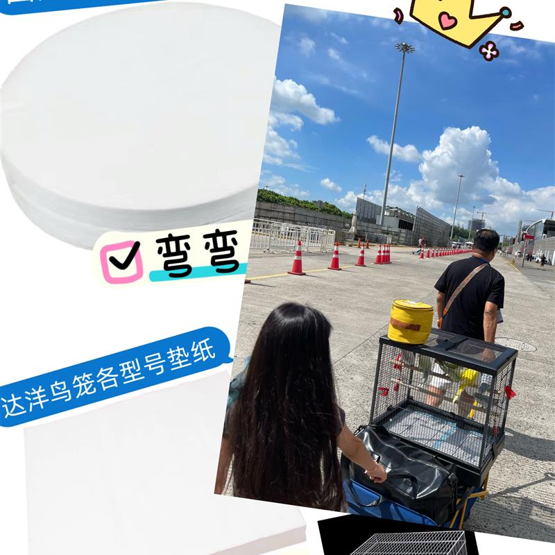 达洋鸟笼4002 6001垫纸6045底盘垫布 5001鹦鹉鸟笼鸟笼接屎纸6047图片