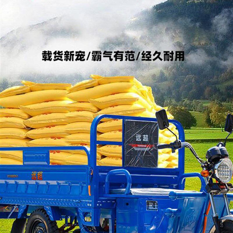 全新国标电动三轮车载重王拉货三轮车快递车新款家用电瓶车农用车