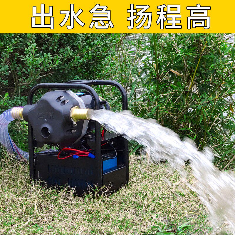 充电式浇菜水泵农用灌溉户外6分管大流量大功率12v水泵井水抽水机
