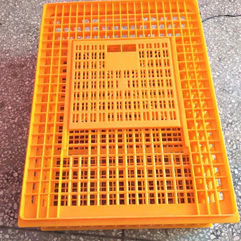 加长加厚成鸡笼 家用鸡鸭鹅周转箱 特大号运输笼塑料笼矮鸽鹌鹑笼