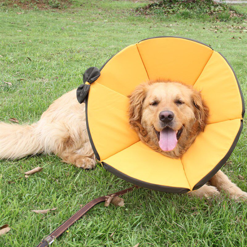 宠物伊丽莎白圈猫狗项圈脖套防抓舔中大型犬金毛萨摩头罩耻辱圈软