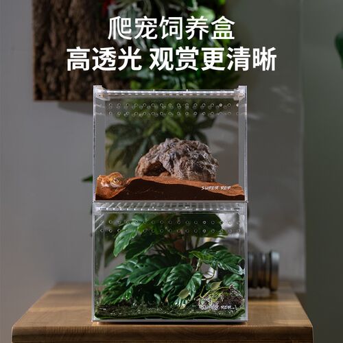 爬宠亚克力守宫蜥蜴饲养箱生态沙漠造景宠物蛇树栖角蛙乌龟水陆缸