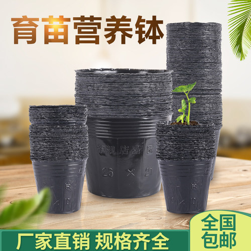营养杯育苗杯塑料大花盆一次性农用种植营养袋育苗袋育苗盆营养钵