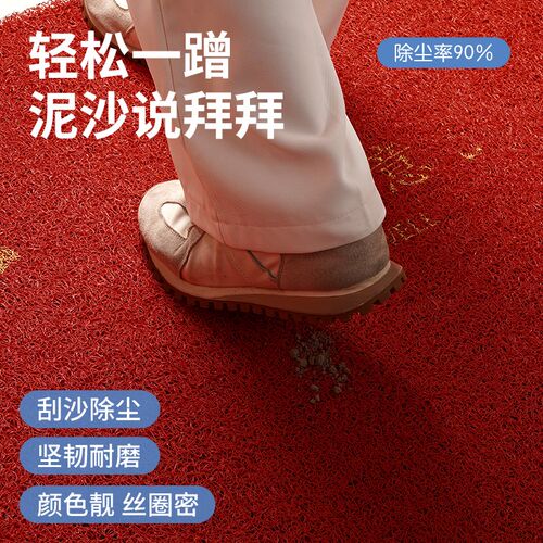 新款入户地垫进门垫门口刮泥除尘蹭脚垫子加厚丝圈可裁剪入门地毯