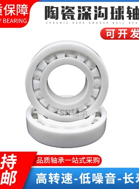 进口材质氧化锆全陶瓷推力球防水耐高温轴承51108 51109 51110 CE