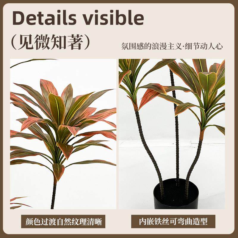 彷真绿色植物朱蕉装饰落地盆栽大型落地摆件客厅网红轻奢防真绿色