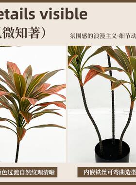 彷真绿色植物朱蕉装饰落地盆栽大型落地摆件客厅网红轻奢防真绿色