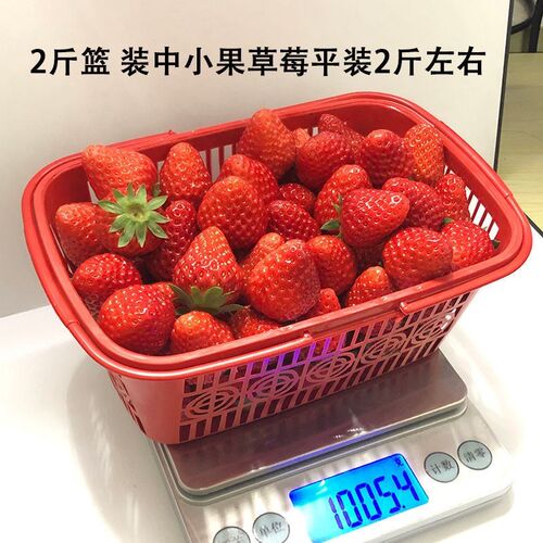 【50个装】草莓篮杨梅樱桃水果采摘篮一次性塑料筐子带手提水果篮