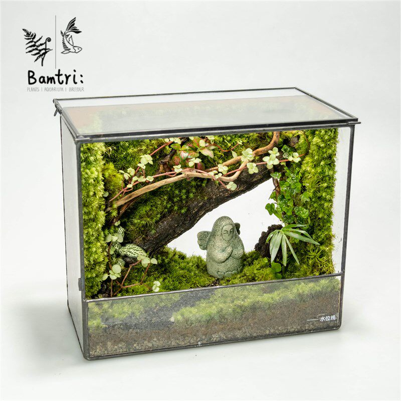 《Bamtri:Terrarium》塞尔达海利亚桌面苔藓微景观直角缸植物摆