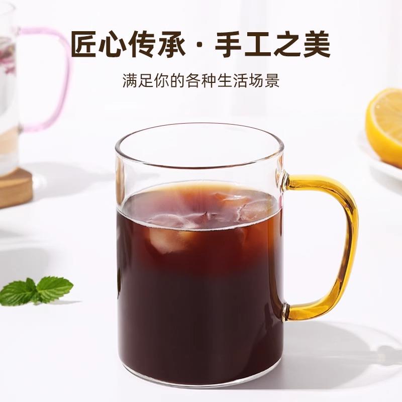 高硼硅玻璃杯带把手杯子喝水家用耐高温家庭待客水杯泡茶茶杯套装