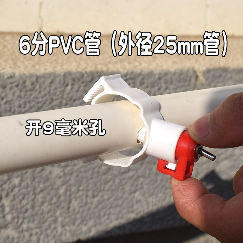 新型育雏水碗 雏鸡自动饮水器乳头饮水碗 接水杯小鸡育雏水碗养殖