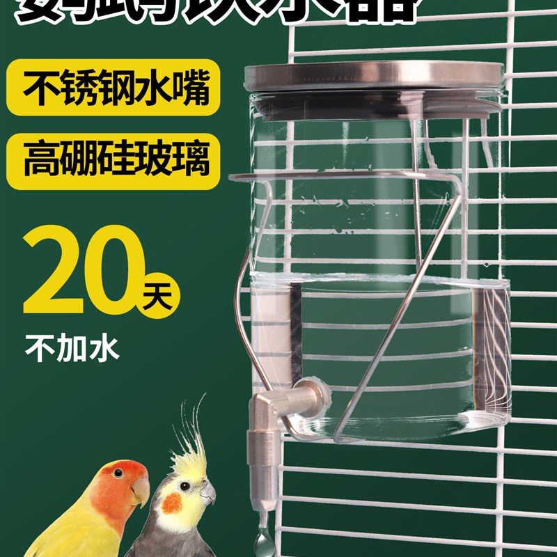 蜜袋鼯撞针水壶龙猫自动喂水器花枝鼠兔子鹦鹉玻璃饮水器静音出水