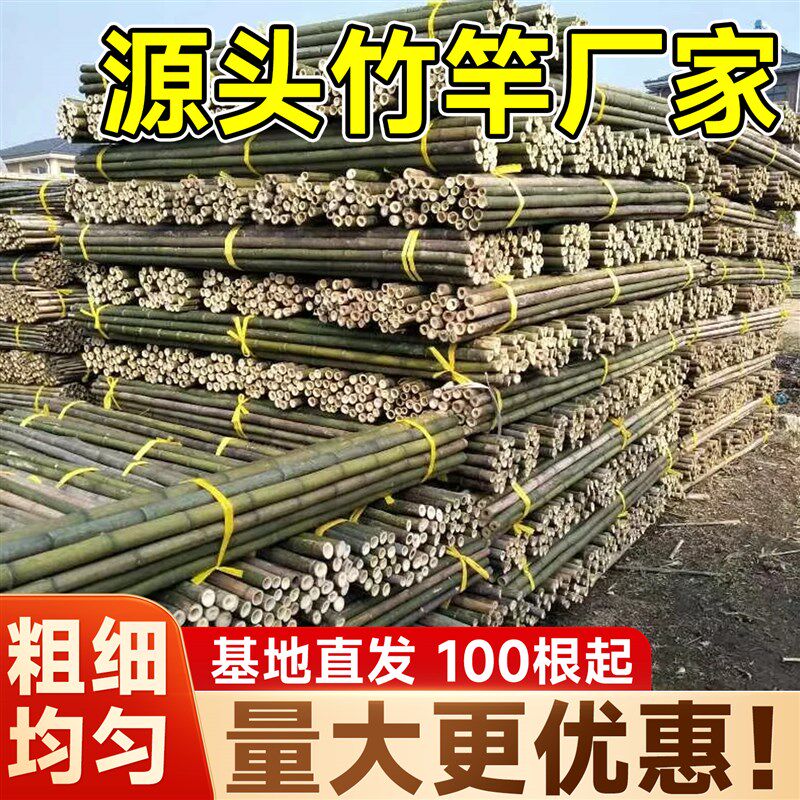 竹竿菜园搭架蔬菜黄瓜番茄丝瓜豆角户外毛竹篱笆防腐耐用竹棍