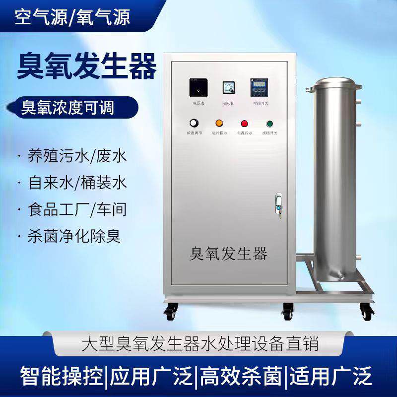 高浓度臭氧产生器空气源氧气源大克数工业级水处理杀菌掉色活氧机