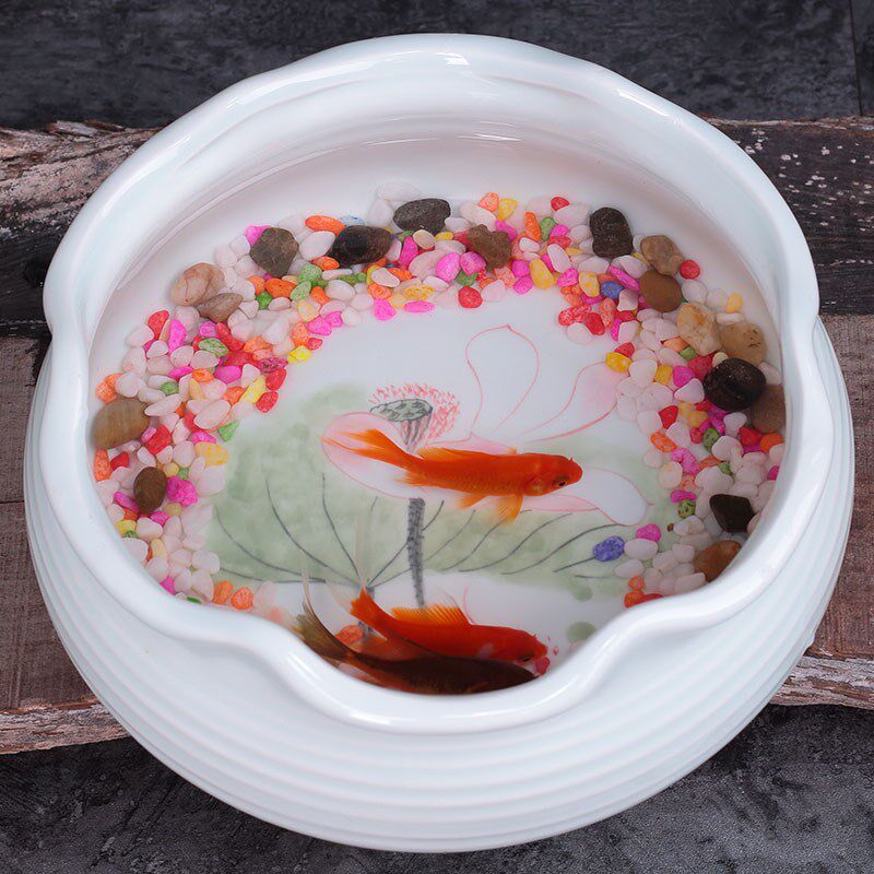 奇异水培绿萝容器水仙花盆陶瓷无孔铜钱草碗莲睡莲大号创意多肉盆