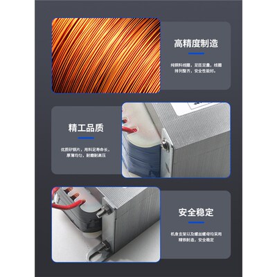 变压器AC220V转AC110V100V自耦110V转220VAC 电压 转换器定制新品