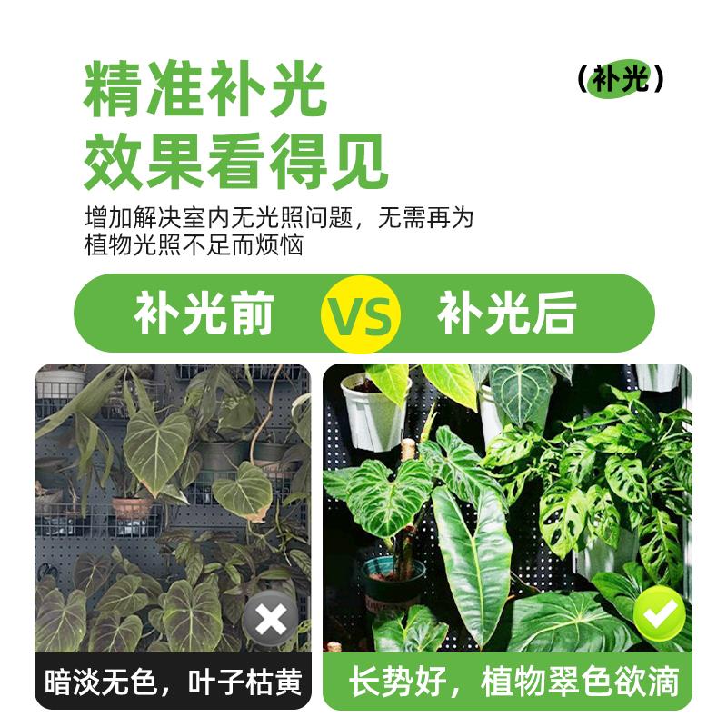 植物补光灯模拟太阳光室内桌面种绿植专用充电遥控生长补光射灯