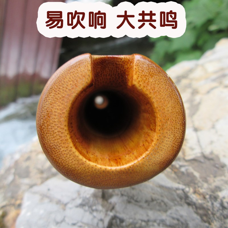 8孔g调洞箫乐器桂竹南箫尺八外切口六八孔唐歌口初学南萧乐器短箫