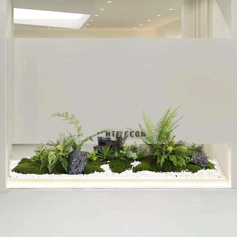 仿真绿植造景组合室内玄关角落蕨类植物装饰橱柜仿生苔藓景观布置