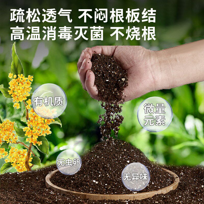 养桂花专用土营养土盆栽土桂花树专用土肥料专用肥土壤泥土种植土