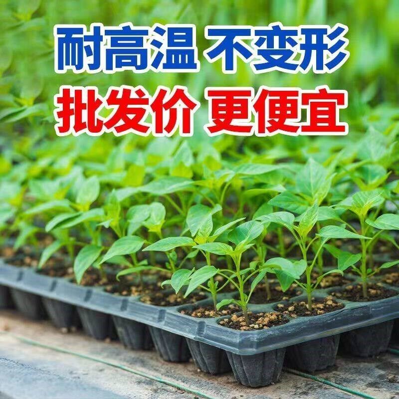 育苗盘宽底50穴全新材质花卉桉树毛桃扦插育苗盘专用盘种菜专用盆