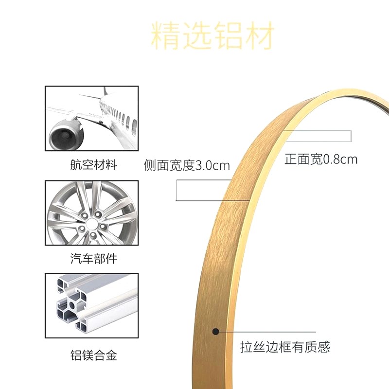 拱形全身镜落地穿衣镜网红拍照显瘦家用卧室服装店试衣镜子带灯